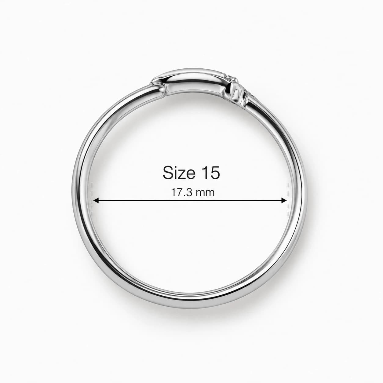 Silver Wave - View 4